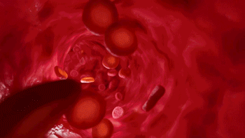 Blood cell animation