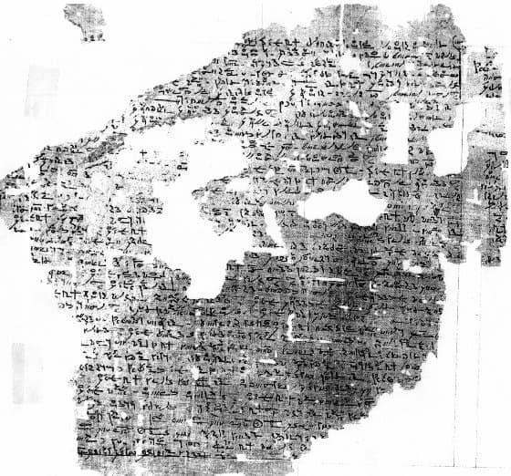 APOPTOSIS of Vienna papyrus